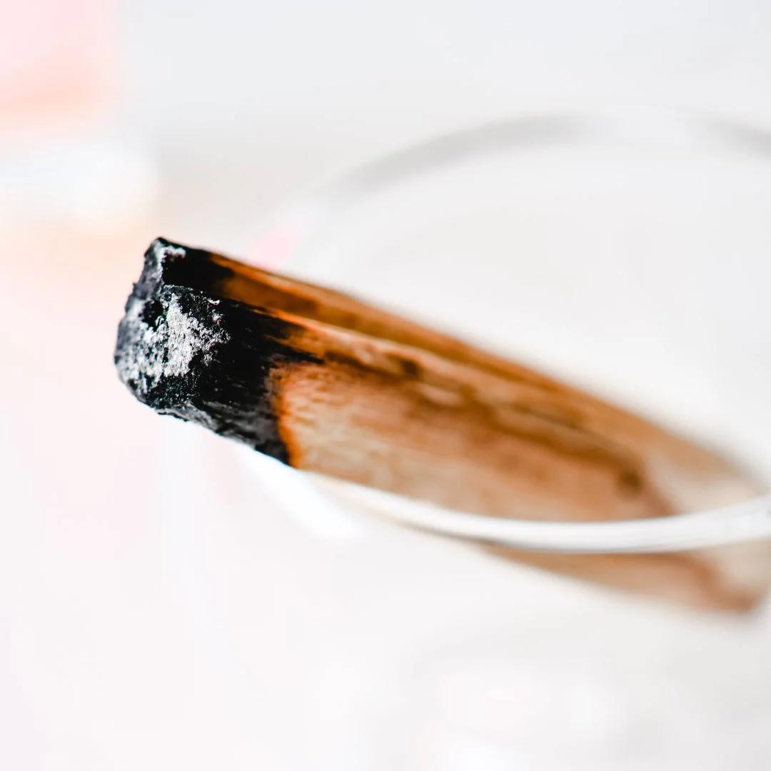 Palo Santo 🙏
